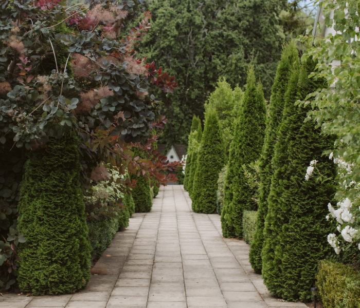 Pihopa Retreat Garden