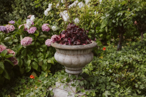 Pihopa Retreat Garden