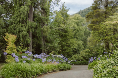 Pihopa Retreat Garden
