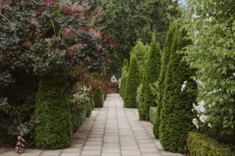 Pihopa Retreat Garden