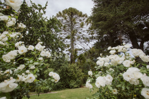 Pihopa Retreat Garden