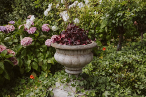 Pihopa Retreat Garden