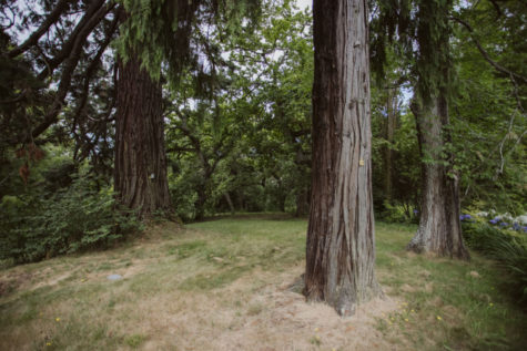 Pihopa Retreat Garden