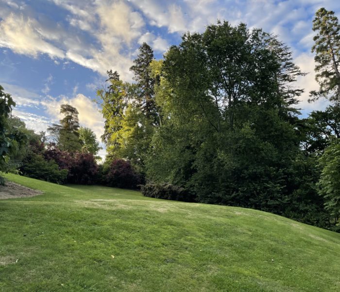 Pihopa Retreat Wedding Garden