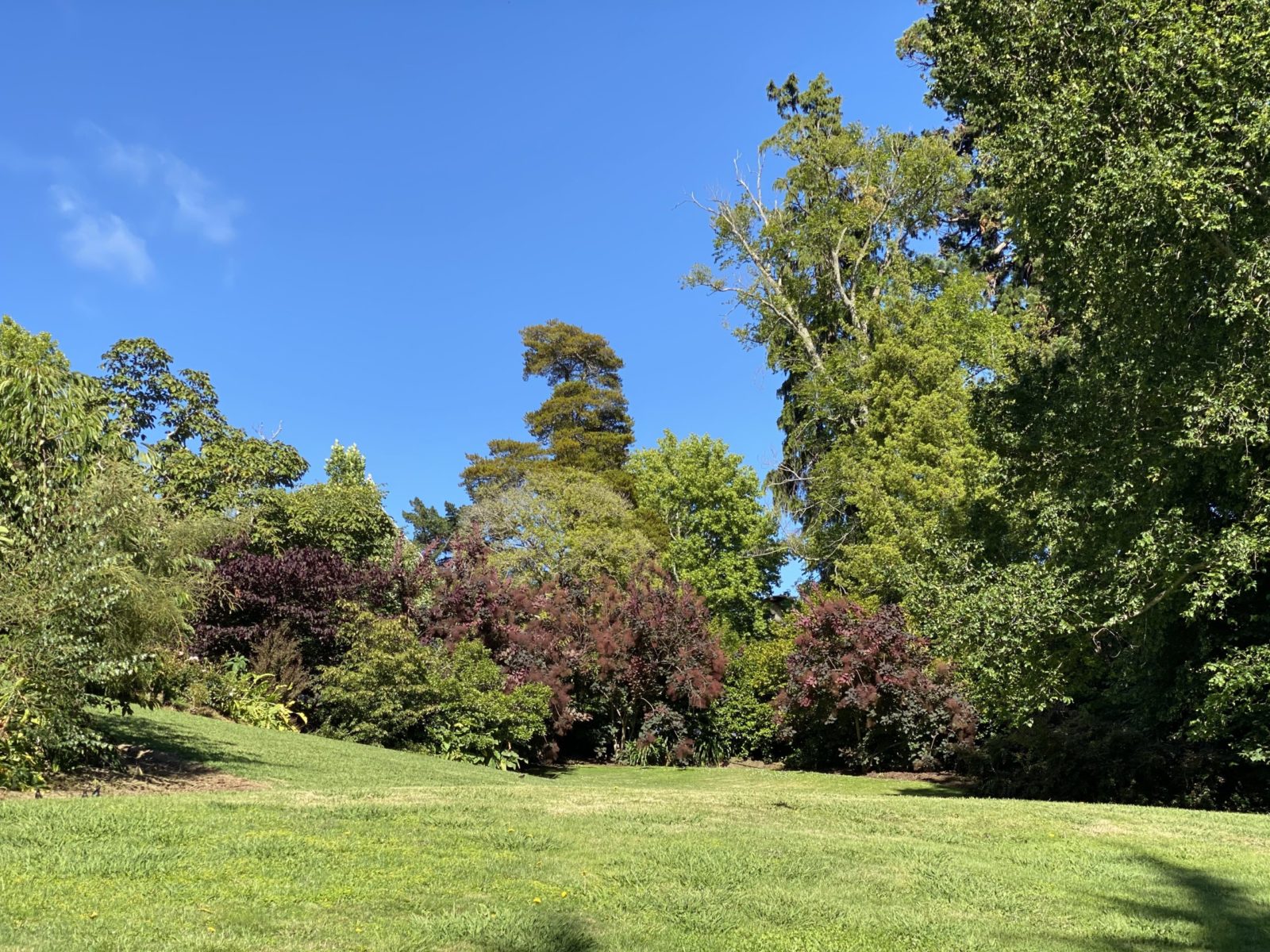 Pihopa Retreat Wedding Garden