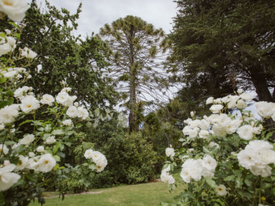 Pihopa Retreat Garden