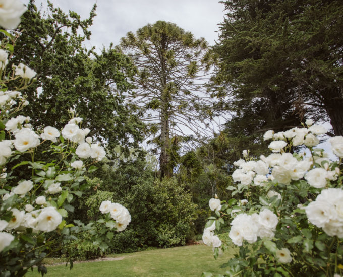 Pihopa Retreat Garden